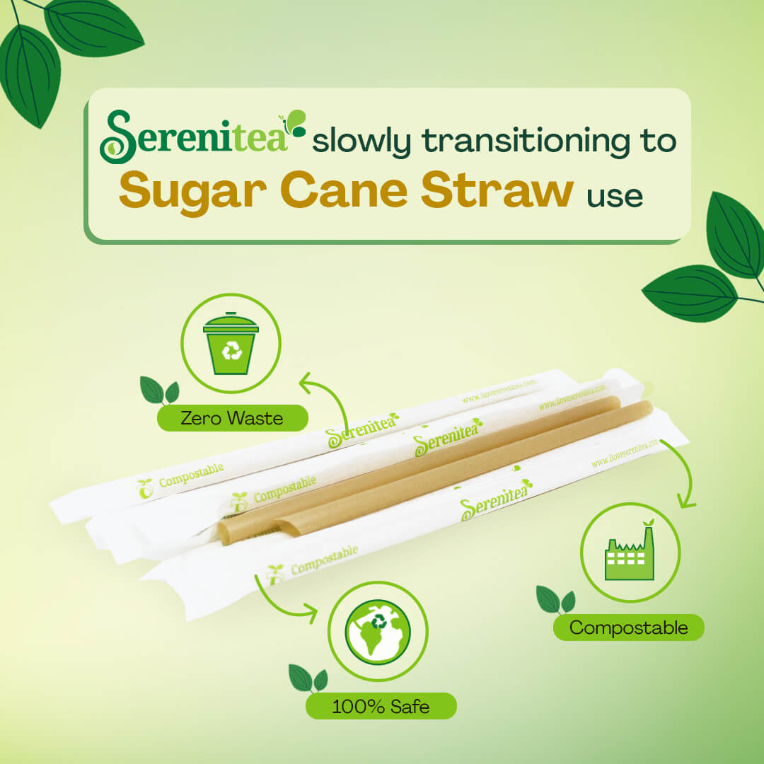 Sugar cane straws